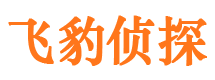 民丰侦探公司